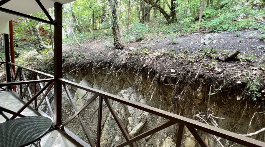 Стандарт Премиум с видом на лес и балконом