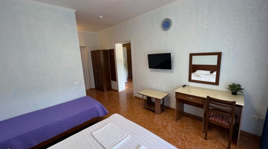 Студия Студия с мини-кухней и балконом